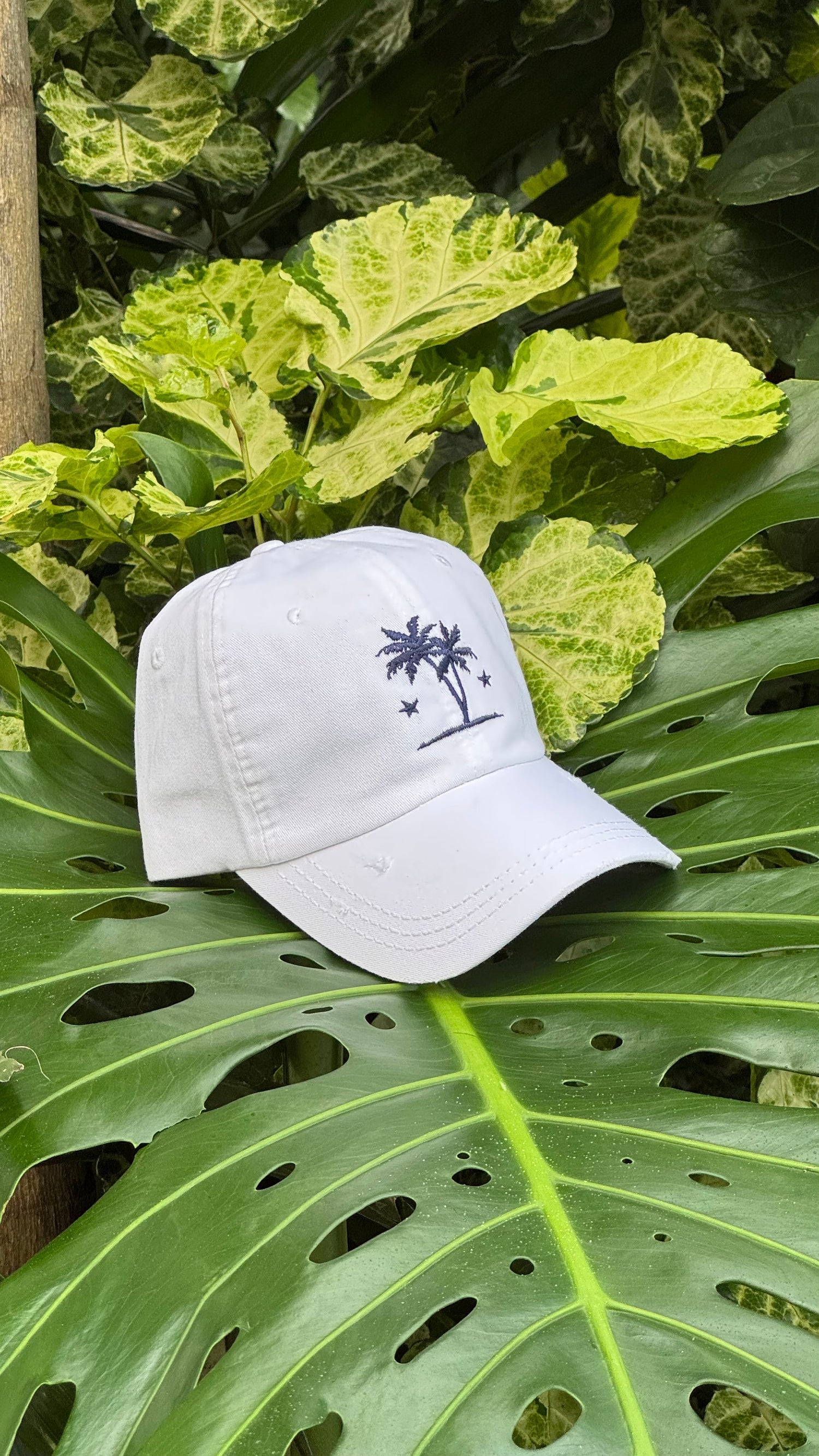 Accessories & Headwear