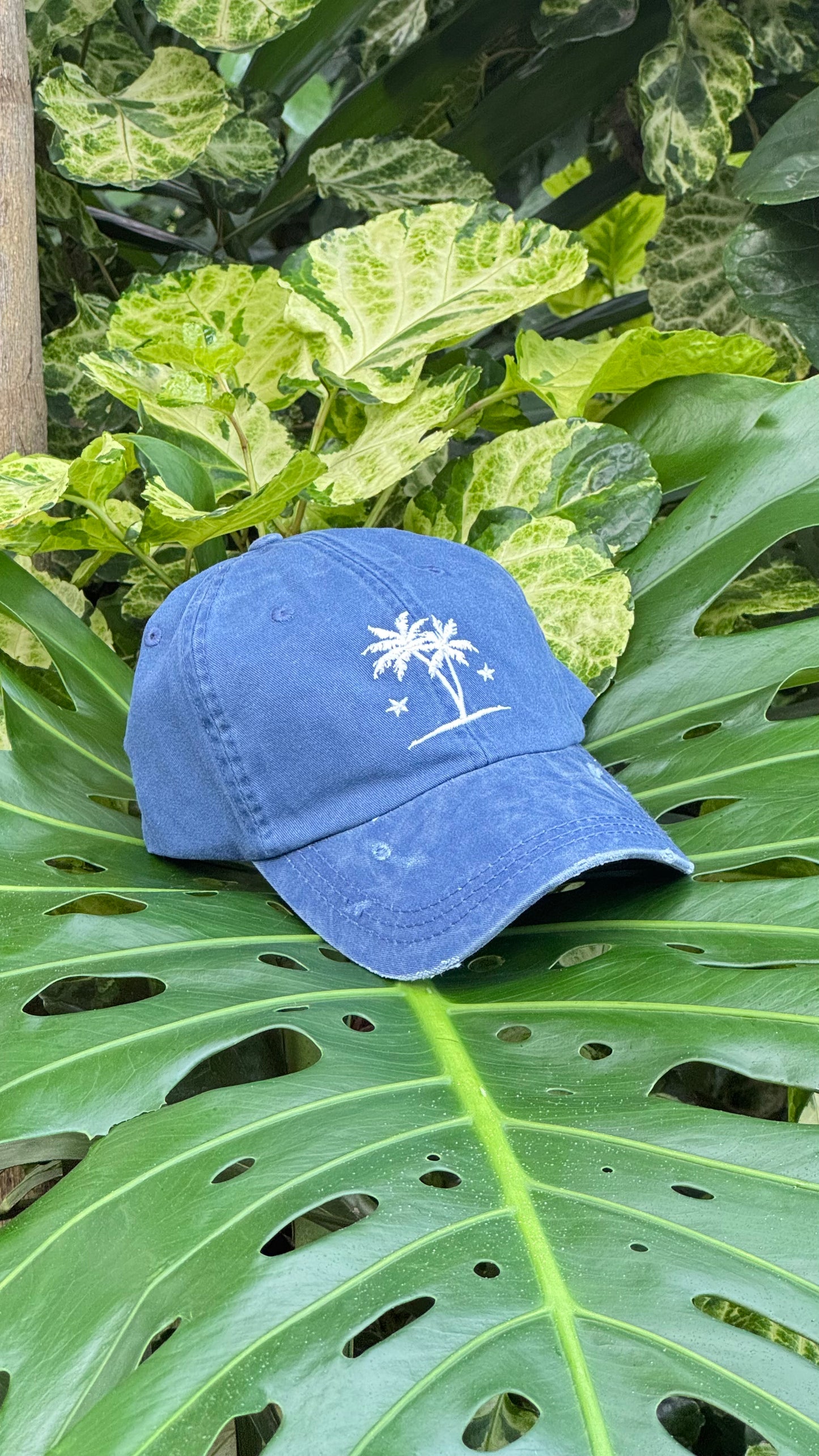 Baseball Cap