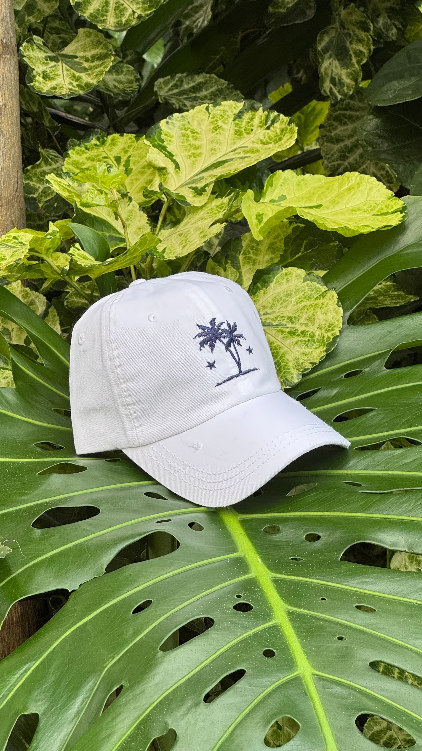 Baseball Cap